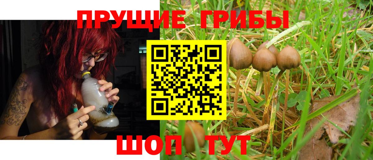 Псилоцибиновые грибы GOLDEN TEACHER Ангарск