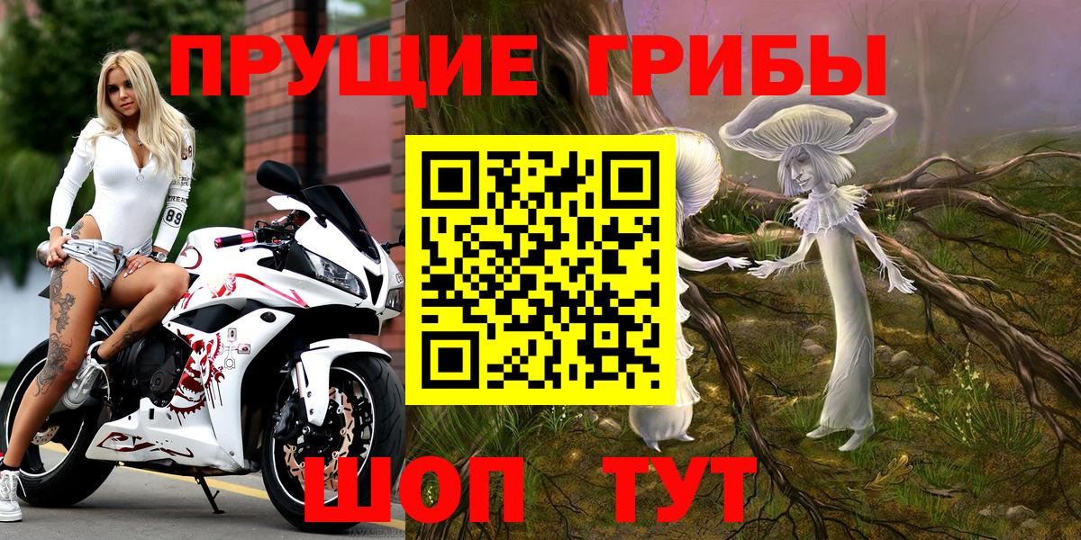 Псилоцибиновые грибы мицелий  Галлюциногенные грибы GOLDEN TEACHER  Вход с VPN  Ангарск 